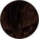 Lucy Houston profile picture